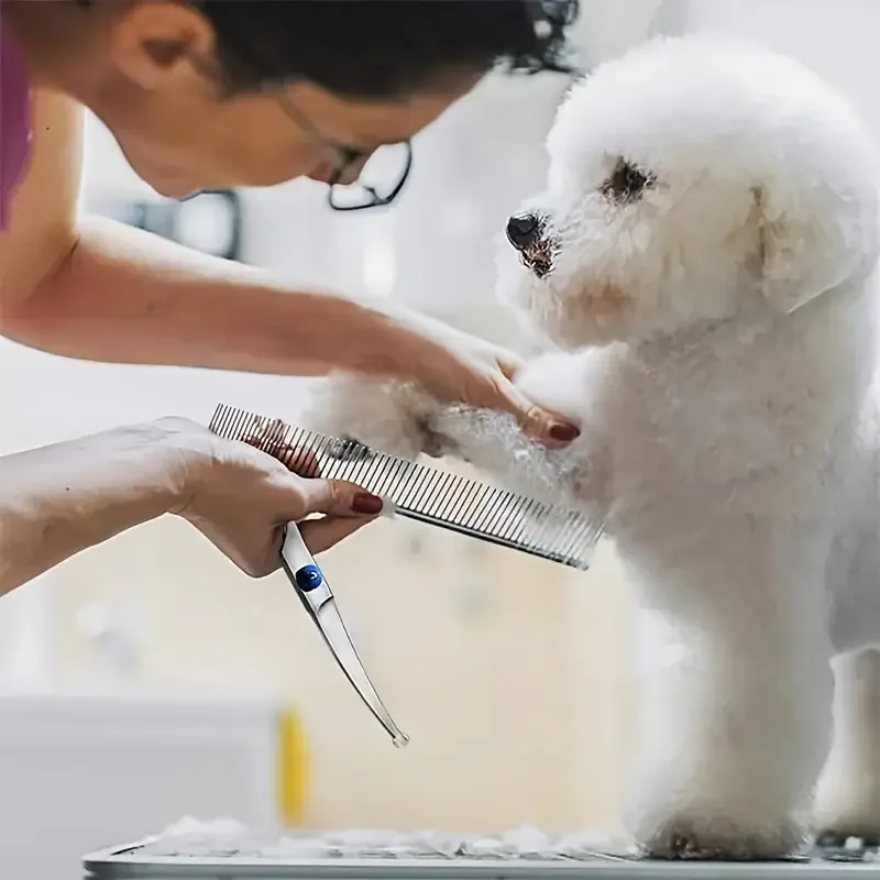 Tijeras profesionales seguras y precisas para el cuidado de mascotas con cabeza redonda, tijeras de pelo para perros de acero inoxidable para recortar sin esfuerzo