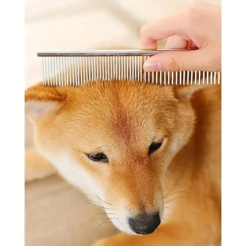 Tijeras profesionales seguras y precisas para el cuidado de mascotas con cabeza redonda, tijeras de pelo para perros de acero inoxidable para recortar sin esfuerzo