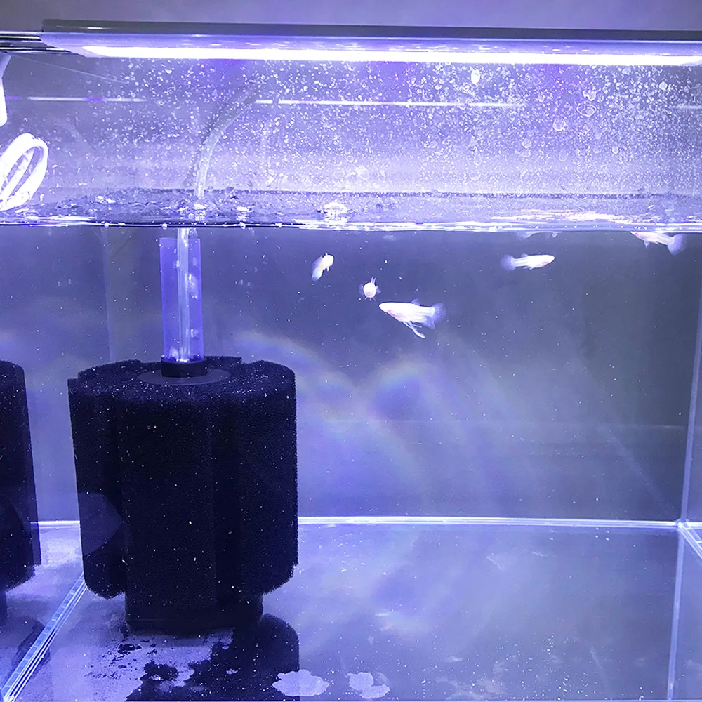 Bomba de aire para tanque de peces, 3 tamaños, espumadera, accesorios de filtro de peces para acuario, práctico filtro de esponja bioquímica para acuario FA011