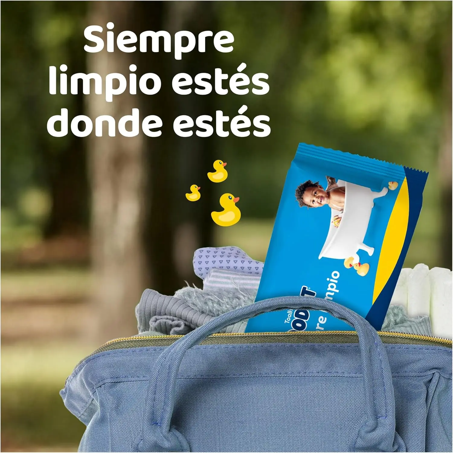 Dodot Toallitas para Bebé, 624 Toallitas, 12 Paquetes (12x52), Limpieza e Hidratación en Cada Pasada