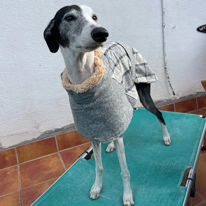 Ropa cálida de lana para perros grandes, chaqueta con estampado a cuadros a la moda para mascotas con cinturón para perros medianos y grandes, ropa Weimaraner de galgo