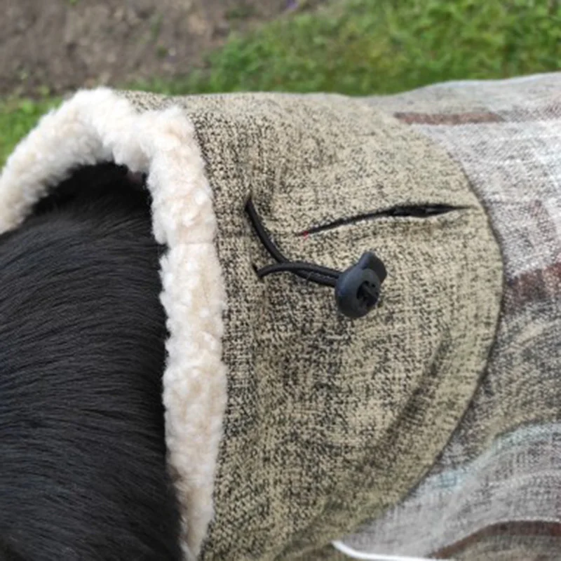 Ropa cálida de lana para perros grandes, chaqueta con estampado a cuadros a la moda para mascotas con cinturón para perros medianos y grandes, ropa Weimaraner de galgo