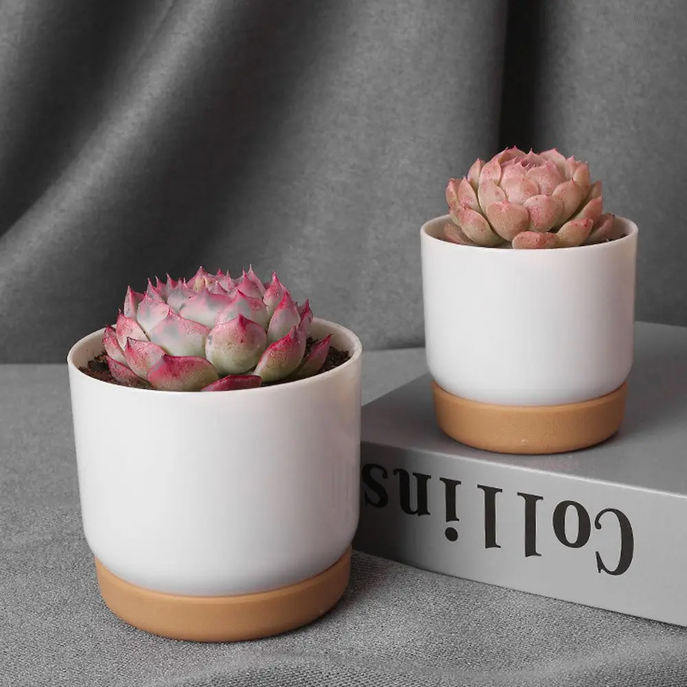 Macetas de orquídeas con orificio de drenaje, maceta de cerámica, contenedores de flores para interiores, suministro de jardín de plantas verdes redondas, Cactus