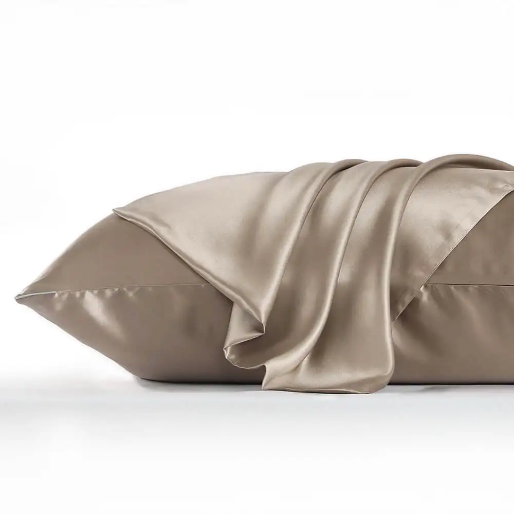 Funda de Almohada DISANGNI 22 Momme 100% Seda de Morera Pura para Cabello y Piel, Seda Natural de Doble Cara con Cierre Oculto, 1 Pieza