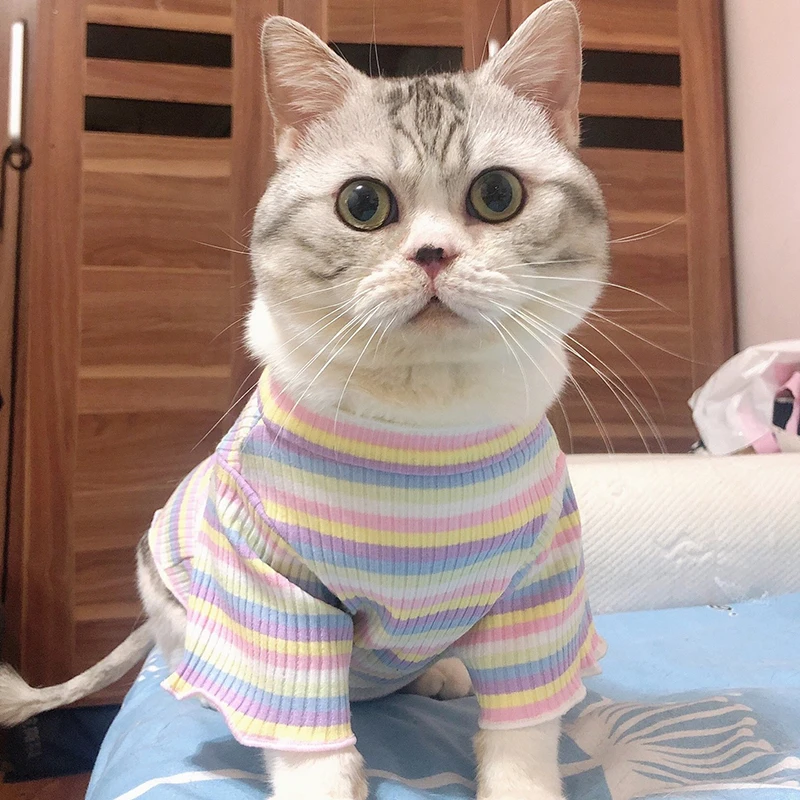 Ropa de algodón de primavera para gatos, chaleco de camisa a rayas dulces para cachorros y gatos Sphynx, ropa para mascotas Ubarnie Dla Kota