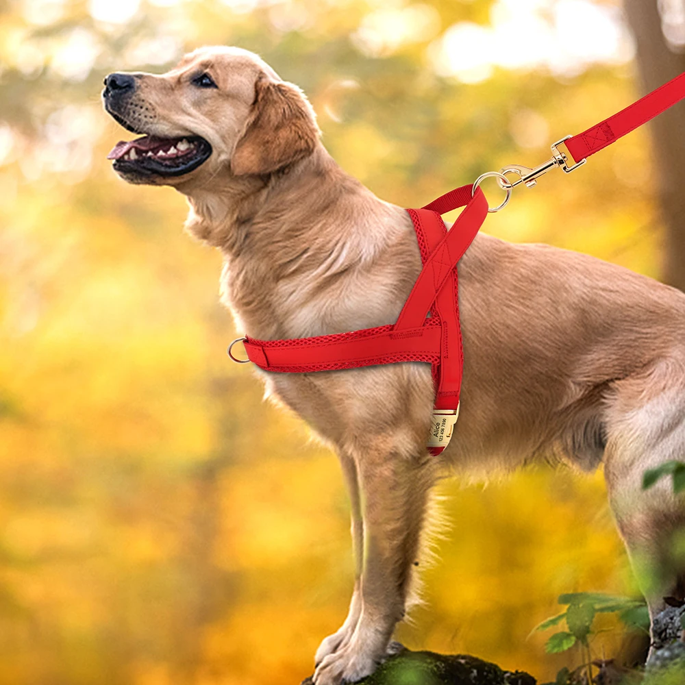 Arnés para perros personalizado, arneses para perros sin tirones, chaleco de entrenamiento ajustable para caminar para mascotas, para perros medianos y grandes, Bulldog, grabado gratis