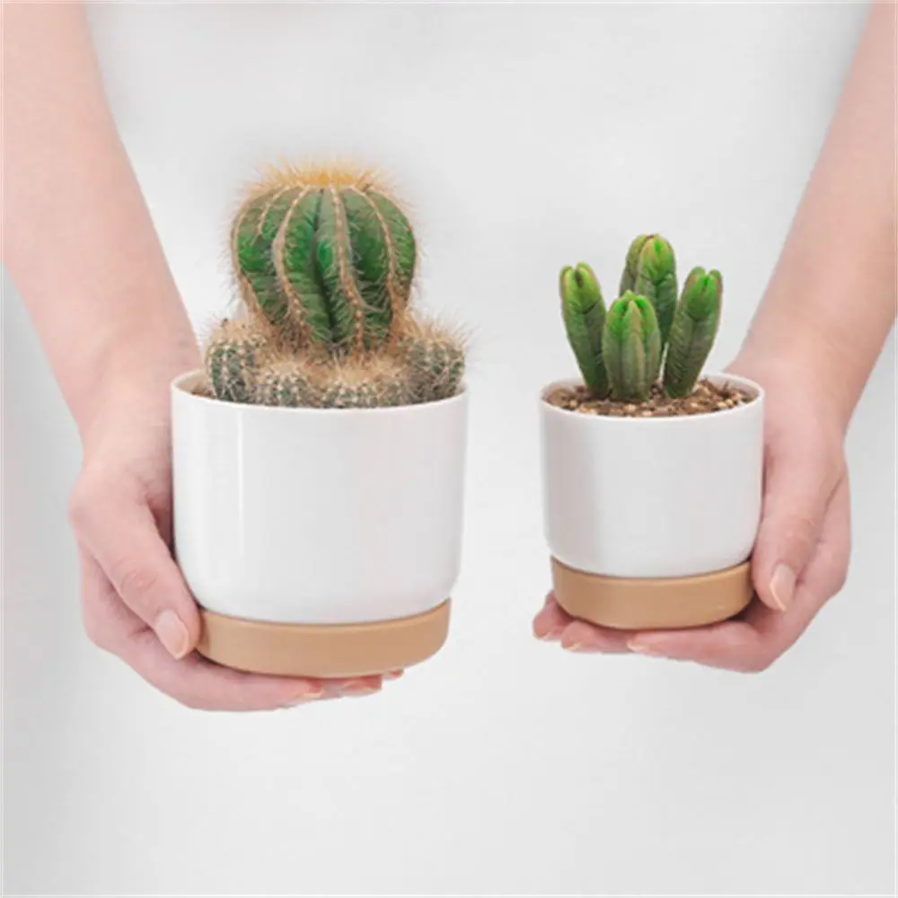 Macetas de orquídeas con orificio de drenaje, maceta de cerámica, contenedores de flores para interiores, suministro de jardín de plantas verdes redondas, Cactus