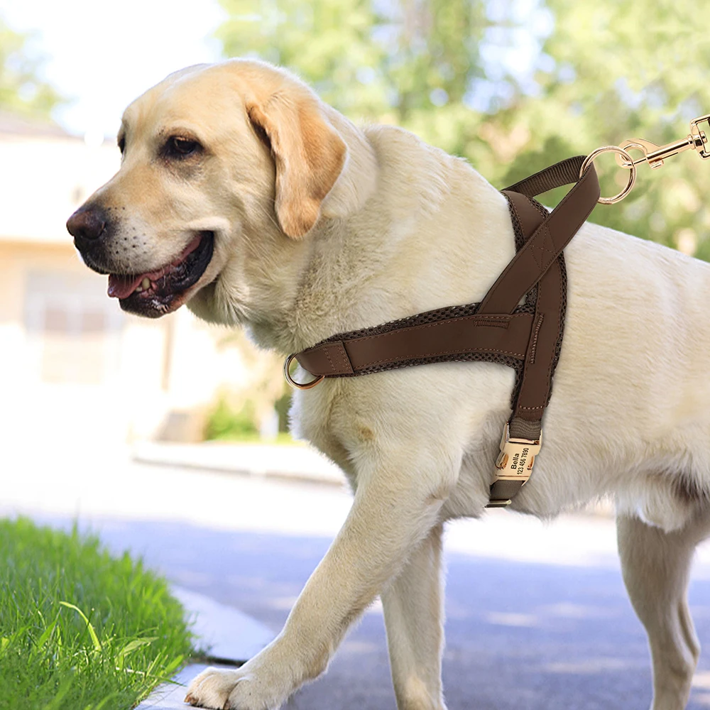 Arnés de perro personalizado sin tirones, chaleco de cuero para perro, arnés acolchado de malla suave para perros pequeños, medianos y grandes, Bulldog Francés