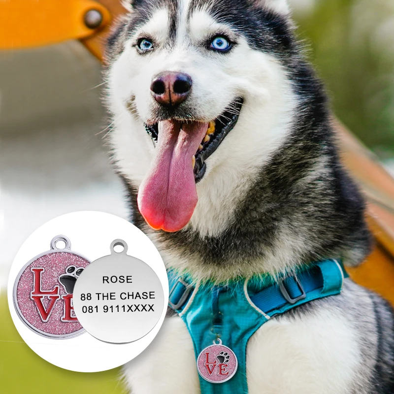 Etiquetas de identificación para perros y gatos, accesorios de decoración, etiquetas de identificación para perros, collares, etiqueta de gato de acero inoxidable, etiqueta personalizada, grabado gratis