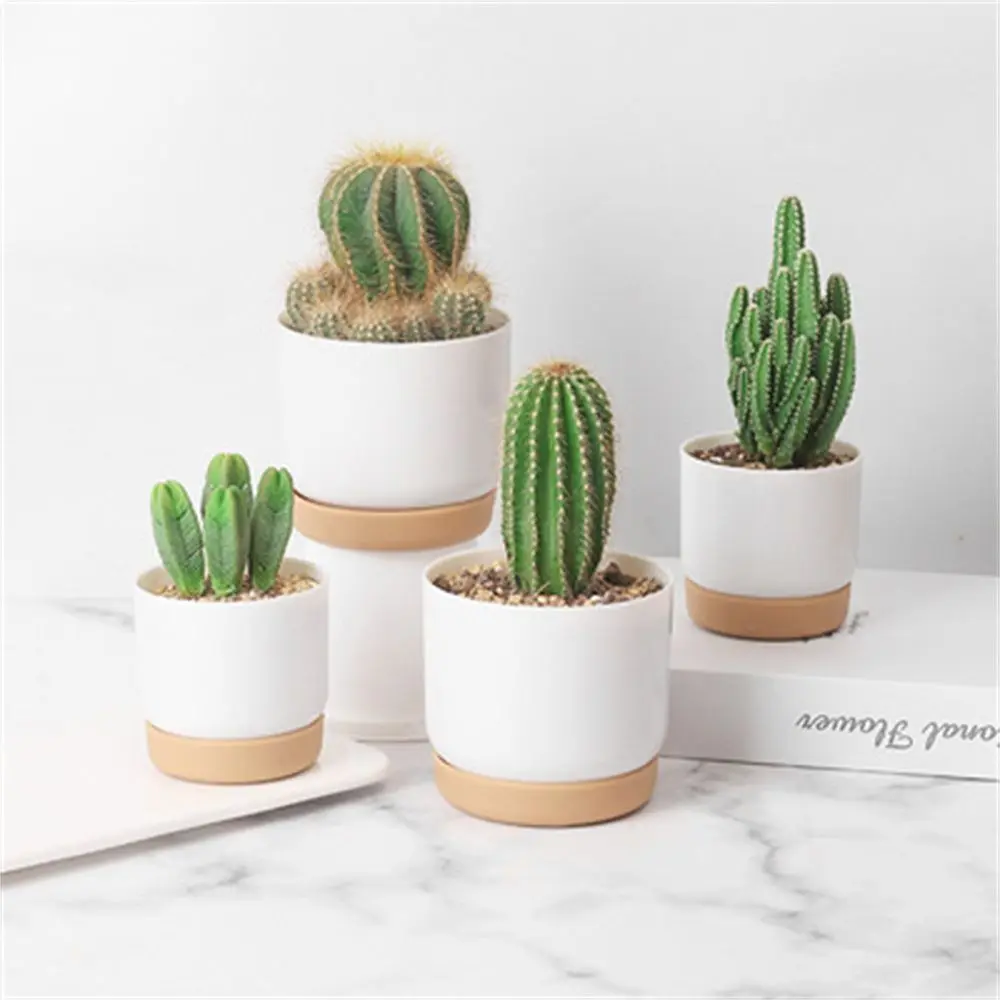 Macetas de orquídeas con orificio de drenaje, maceta de cerámica, contenedores de flores para interiores, suministro de jardín de plantas verdes redondas, Cactus
