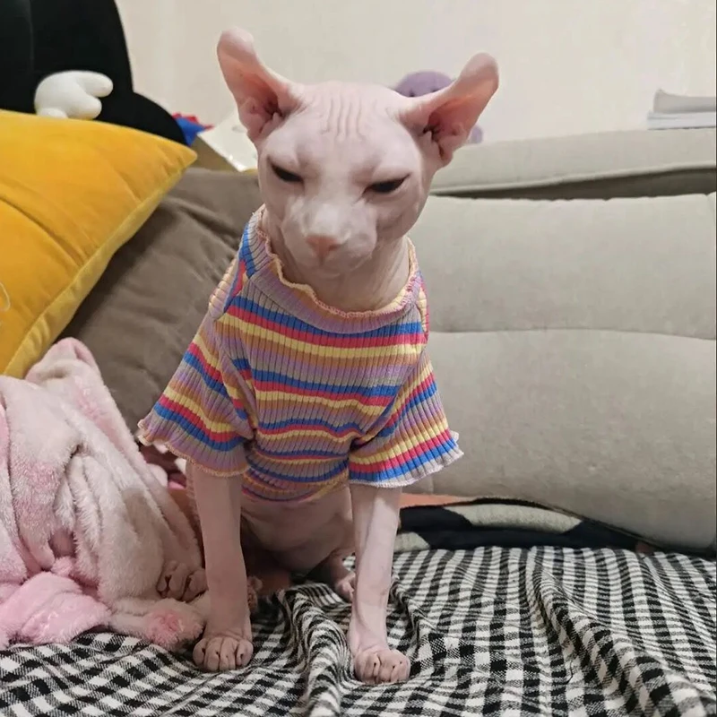 Ropa de algodón de primavera para gatos, chaleco de camisa a rayas dulces para cachorros y gatos Sphynx, ropa para mascotas Ubarnie Dla Kota