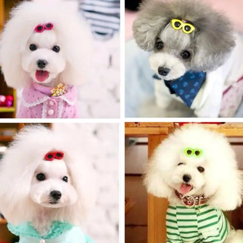 10 piezas de pinzas de plástico para el pelo de mascotas, gafas de sol con forma de horquilla para perros pequeños, 10 colores, bonitos accesorios para el cabello para el cuidado de perros con forma de corazón