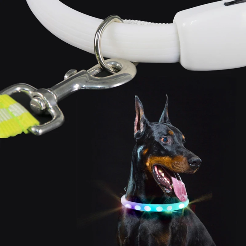 Collar de perro recargable por USB con hebilla D, luz LED, Collar brillante de seguridad nocturna, Collar intermitente luminoso para mascotas, arneses antipérdida