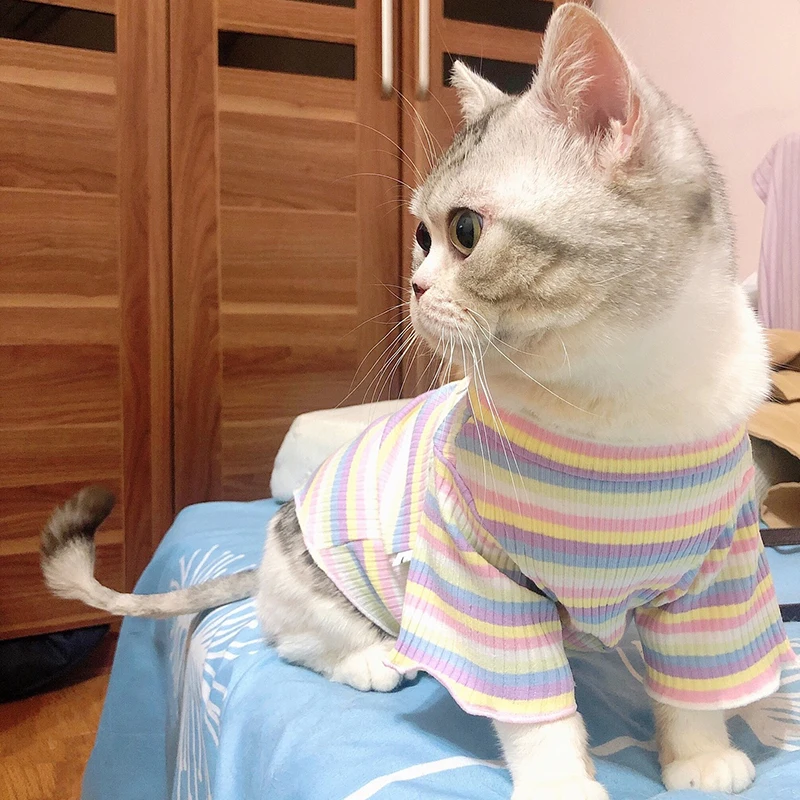 Ropa de algodón de primavera para gatos, chaleco de camisa a rayas dulces para cachorros y gatos Sphynx, ropa para mascotas Ubarnie Dla Kota
