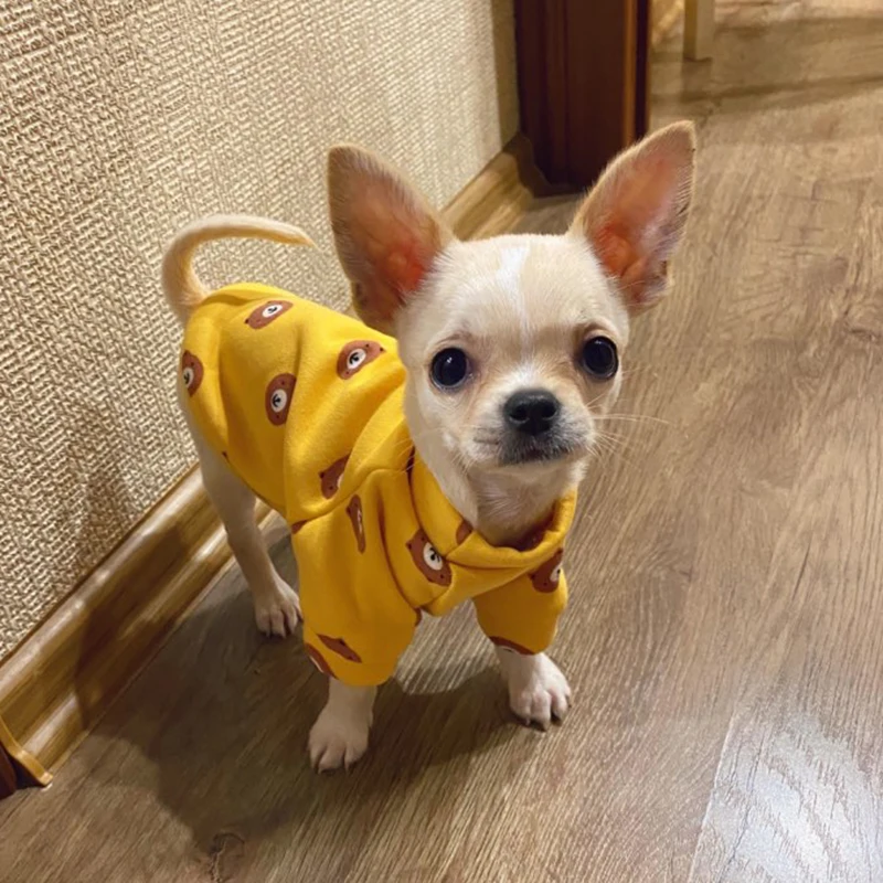 Ropa cálida para perros pequeños, gorros de Pomerania York Terrier, ropa bonita para cachorros y gatos, productos para Mascotas, otoño e invierno