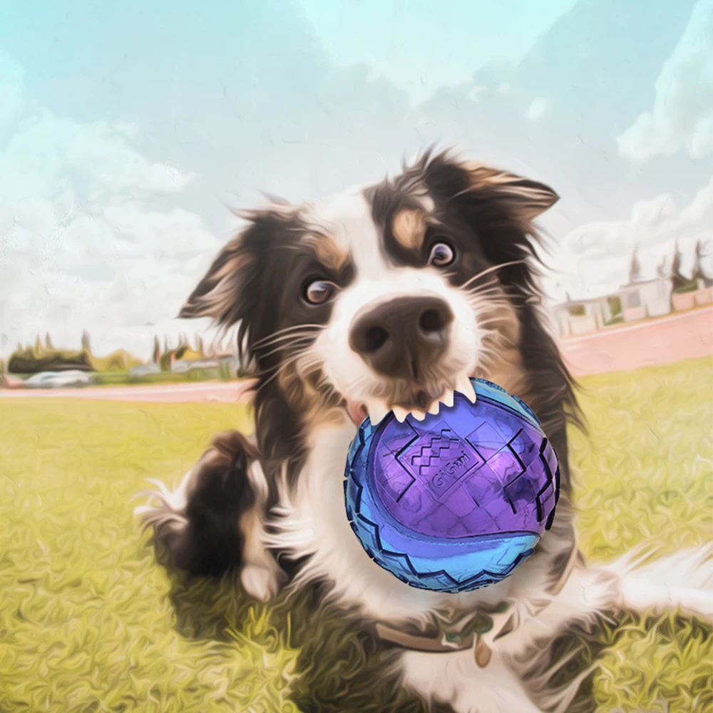 Pelota de goma Natural no tóxica para perros y cachorros, juguetes para masticar, sonido puro, juego al aire libre, pelota elástica divertida para perros pequeños y grandes