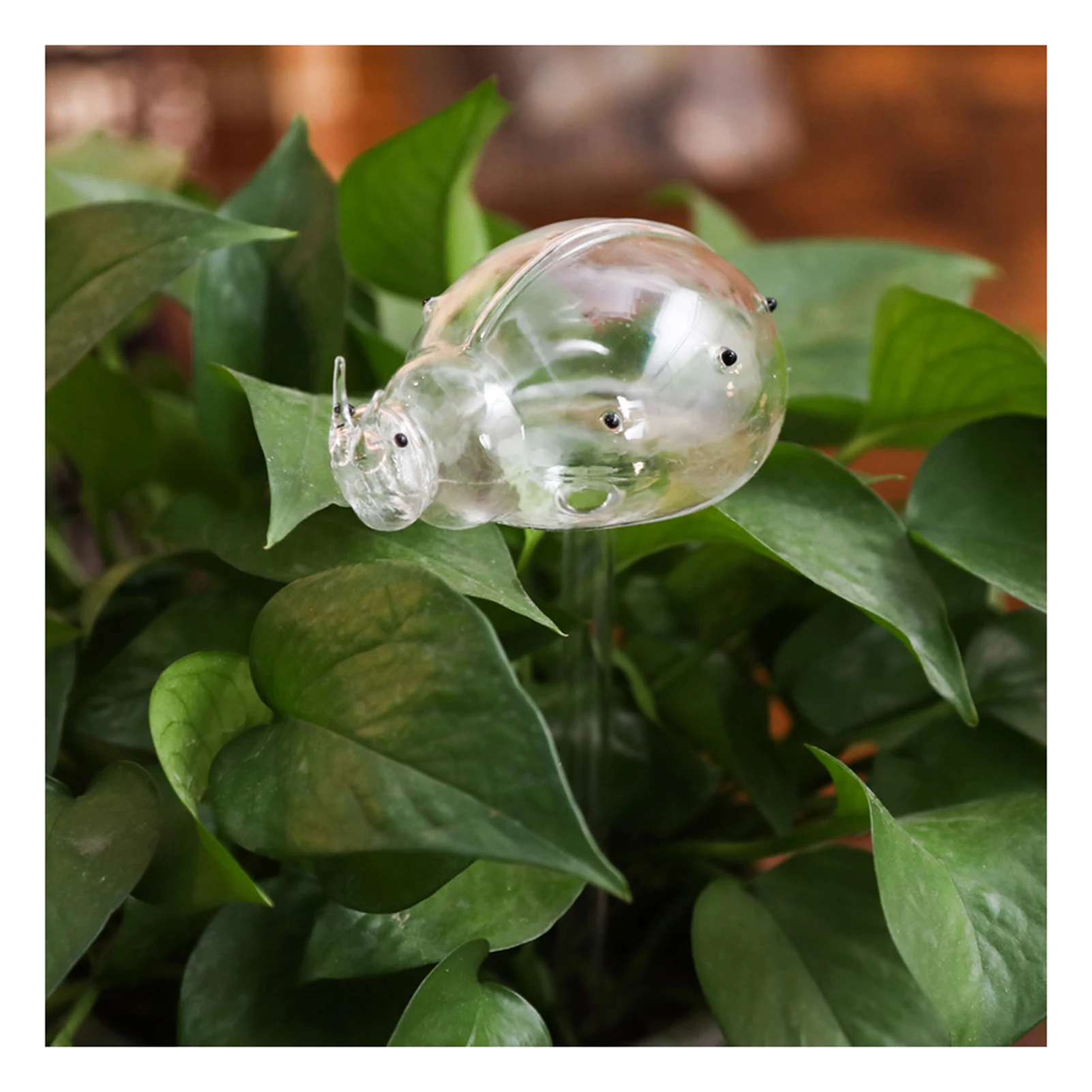 Dispositivo de riego automático de flores, estacas de autorriego de vidrio, bebedero de vidrio para plantas, globo de agua de riego automático CL