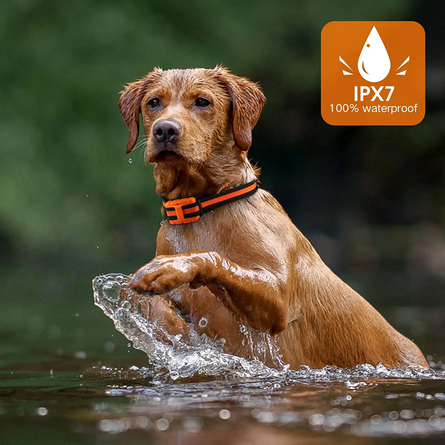 Collar de entrenamiento para perros, collares de choque recargables impermeables para perros con pitido de entrenamiento remoto, choque de vibración, Collar eléctrico para perros