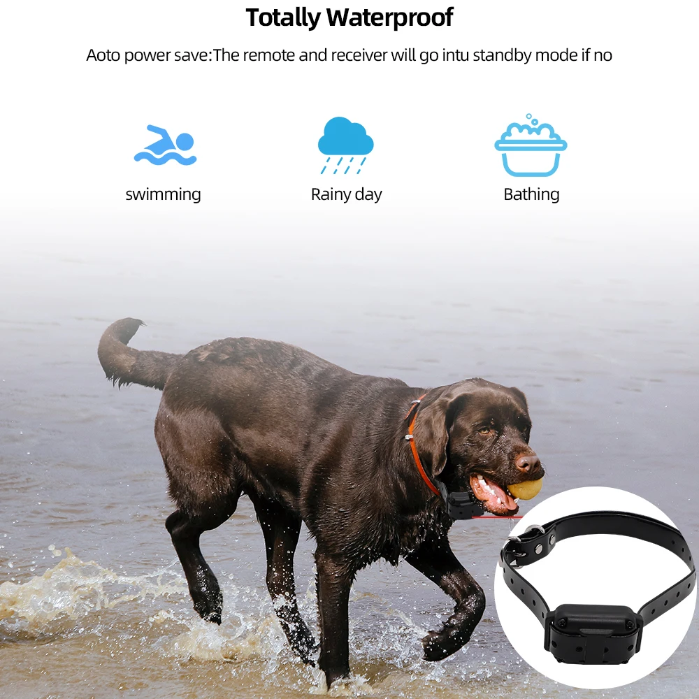 Collar de entrenamiento Digital para perros de 800m, resistente al agua, recargable, Control remoto, mascota con pantalla LCD para todos los tamaños, sonido de vibración de choque