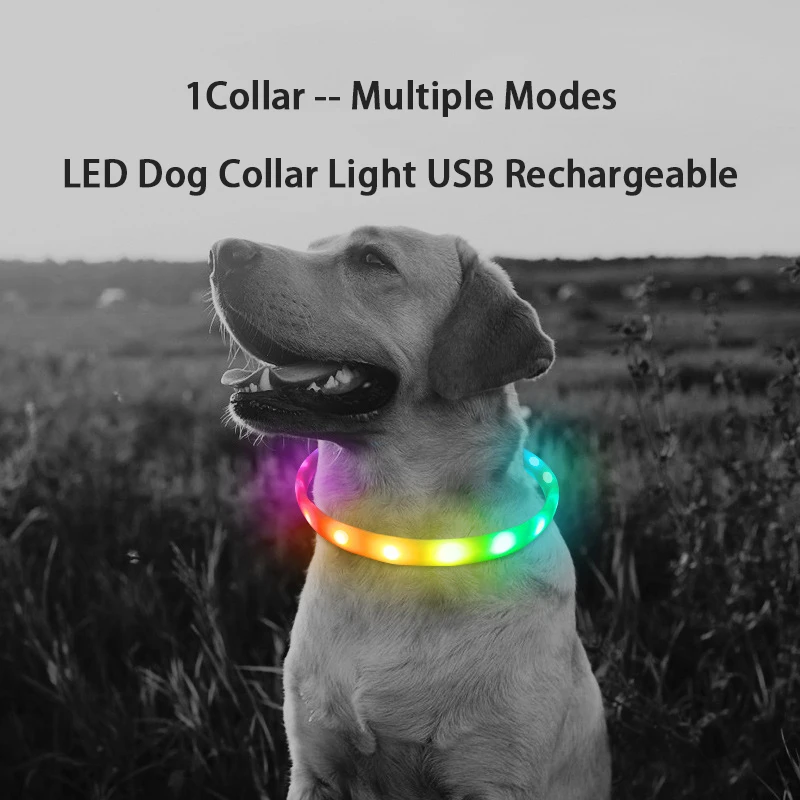 Collar de perro recargable por USB con hebilla D, luz LED, Collar brillante de seguridad nocturna, Collar intermitente luminoso para mascotas, arneses antipérdida