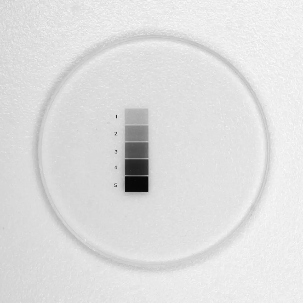 Micrómetro ocular de diámetro de 24mm, regla cruzada de vidrio óptico, anillos de círculos concéntricos de red, aguja para microscopio estéreo de 30 30,5mm