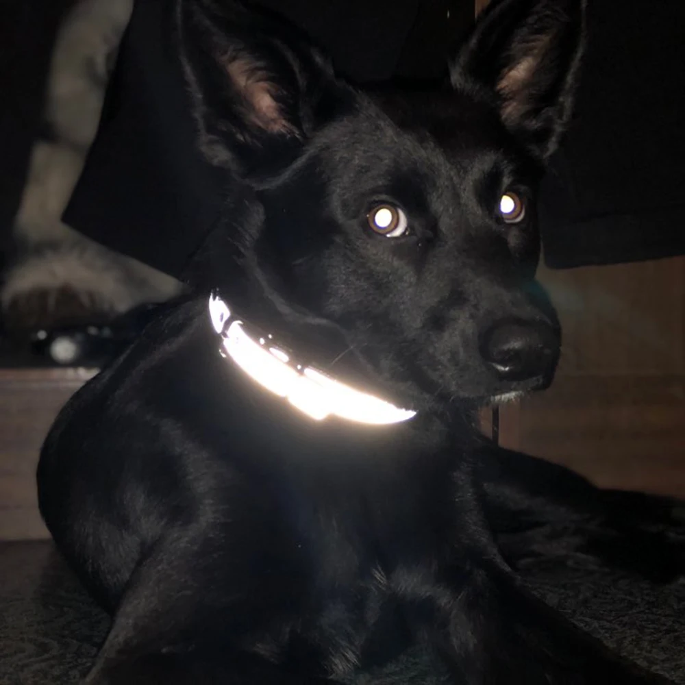 Collar reflectante grabado para perros, collares personalizados para mascotas, etiqueta de identificación para gatos, para mascotas pequeñas, medianas y grandes, nombre, número de teléfono, cadenas, regalo para perros
