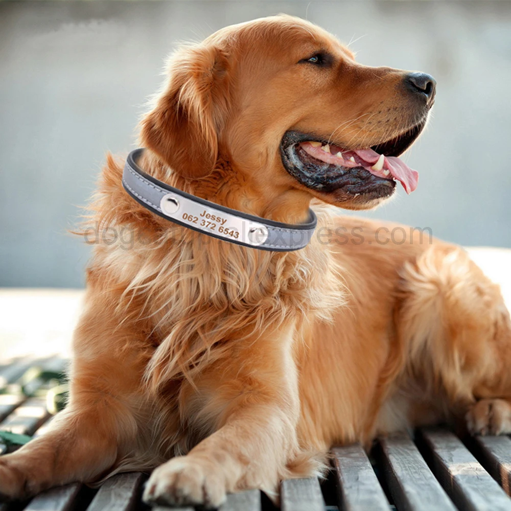 Collar reflectante grabado para perros, collares personalizados para mascotas, etiqueta de identificación para gatos, para mascotas pequeñas, medianas y grandes, nombre, número de teléfono, cadenas, regalo para perros