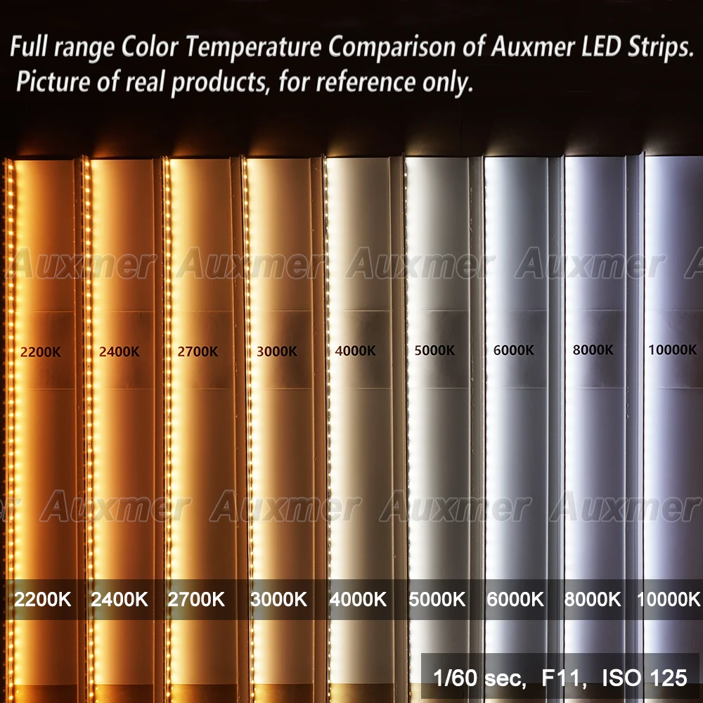 Tira de luces LED 2835 de alta potencia, mono de color, 120 LED/m 240 LED/m, CRI>95/90,3SDCM, LED flexible súper brillante DC12/24 V, 5 m/carrete, IP20