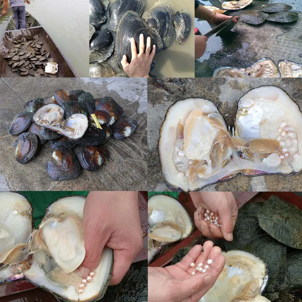 Cuentas de perlas naturales de agua dulce, cuentas sueltas con forma Irregular de alta calidad para fabricación de joyería, collar y pulsera DIY