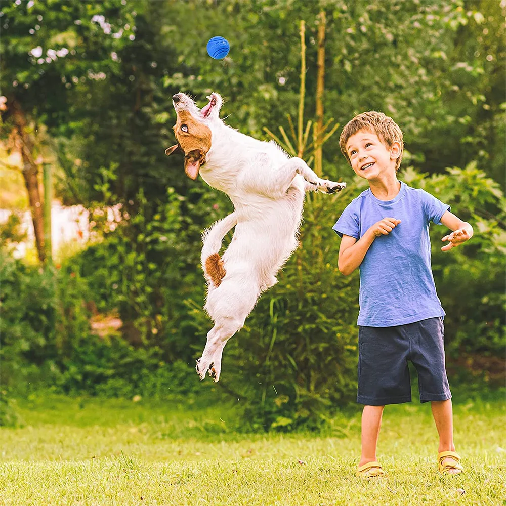 Juguetes para perros, pelota para perros, pelota sólida de goma hinchable para perros, juguetes para masticar para perros, entrenamiento de lanzamiento y recuperación al aire libre para perros