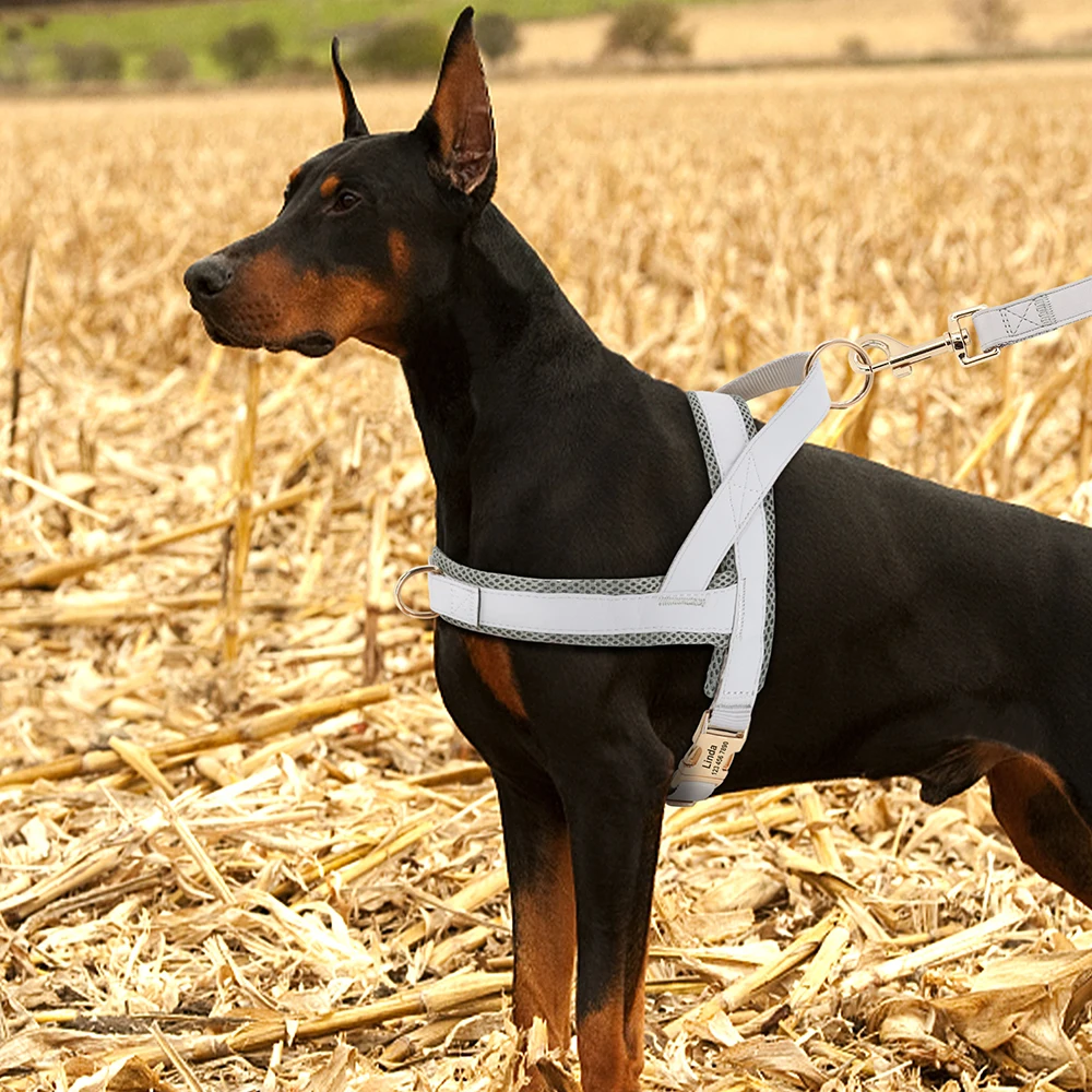 Arnés de perro personalizado sin tirones, chaleco de cuero para perro, arnés acolchado de malla suave para perros pequeños, medianos y grandes, Bulldog Francés