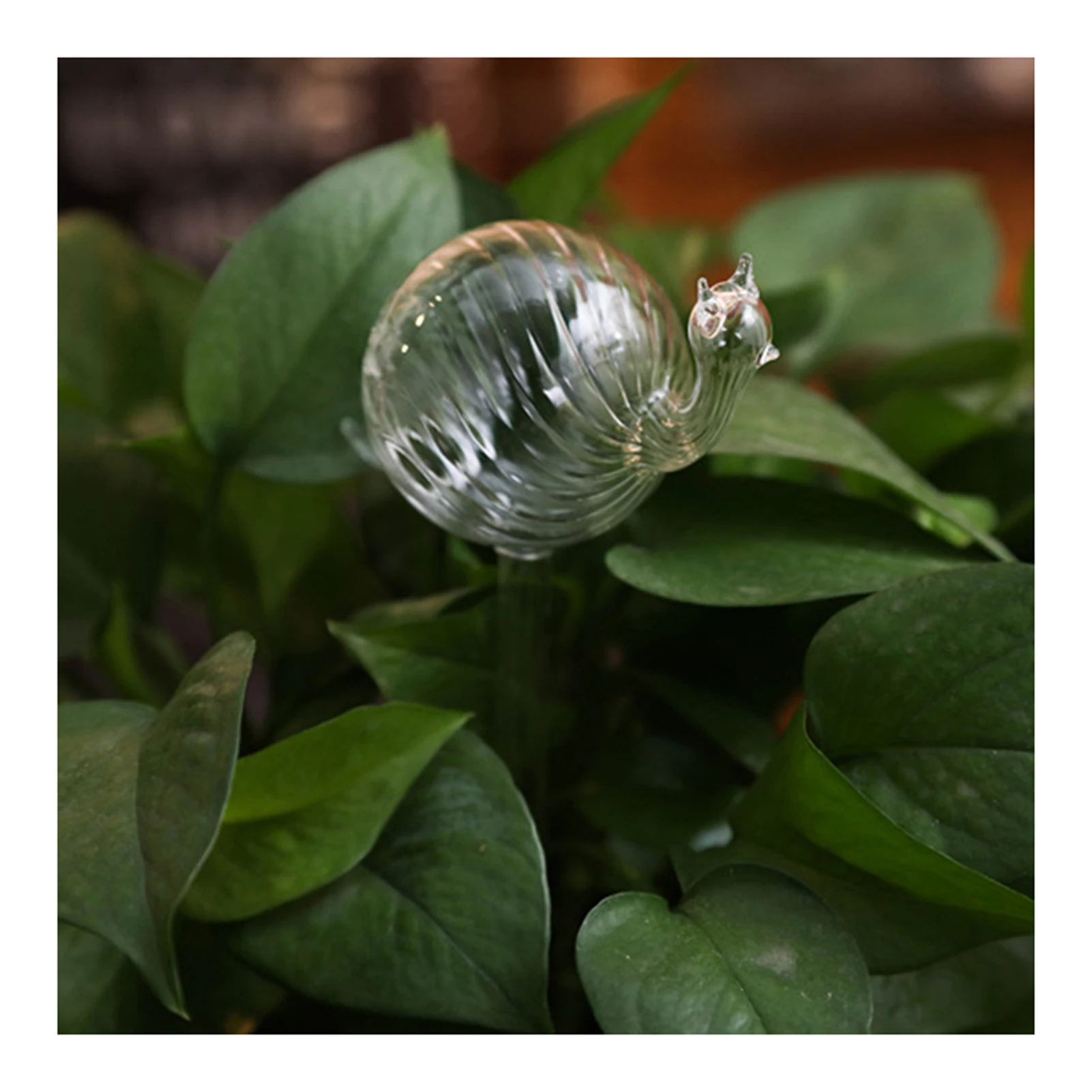 Dispositivo de riego automático de flores, estacas de autorriego de vidrio, bebedero de vidrio para plantas, globo de agua de riego automático CL