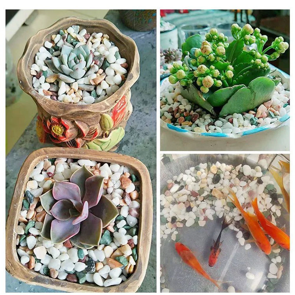 50/100g cristales naturales piedra de grava Micro paisaje jardín acuario decoración pecera fondo arena plantas en macetas accesorios DIY