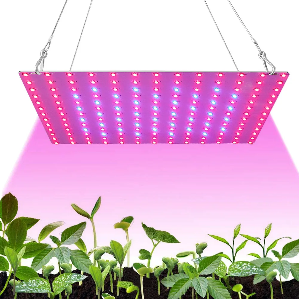 Lámpara LED para Cultivo de Plantas, 81/169 LED, Espectro Completo, Hidropónica, para Plantas, Vegetales, Flores, Interior, Panel Ultrafino, Fitolámpara