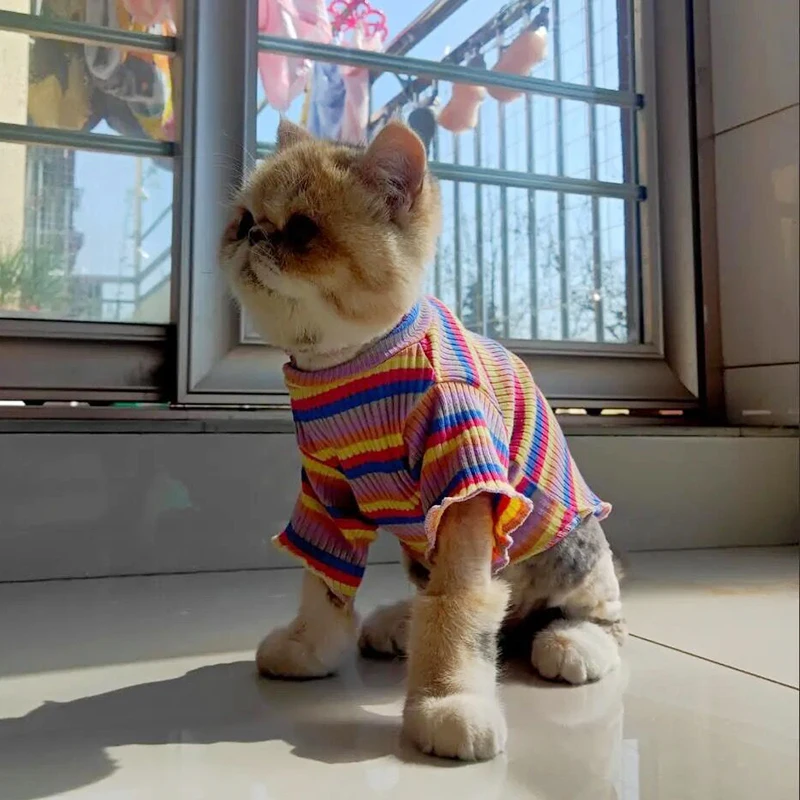 Ropa de algodón de primavera para gatos, chaleco de camisa a rayas dulces para cachorros y gatos Sphynx, ropa para mascotas Ubarnie Dla Kota