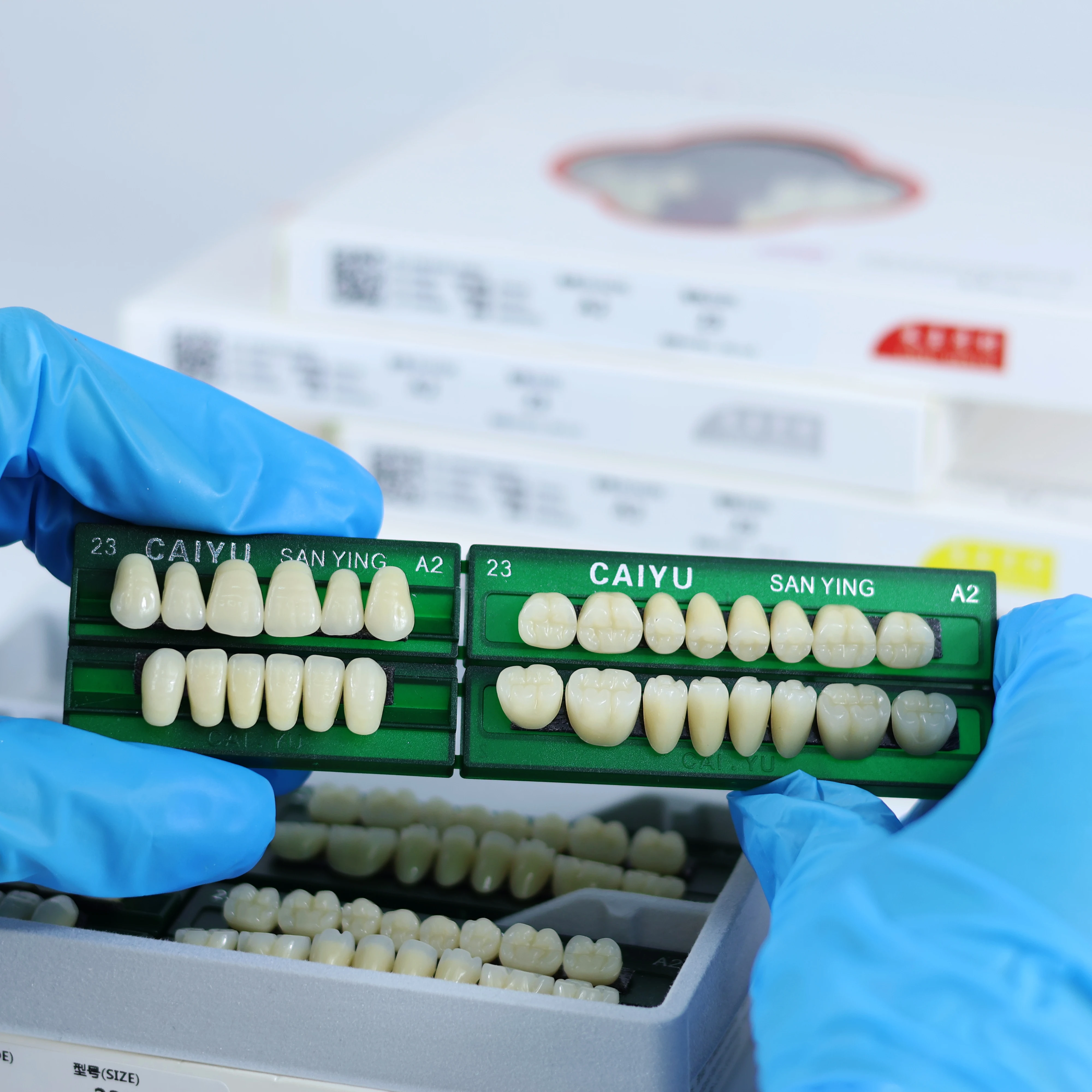 Dientes de resina sintética acrílica Dental, modelo de enseñanza de dientes de boca completa Anterior Posterior, modelo de dientes permanentes, caja de 96 unids/set
