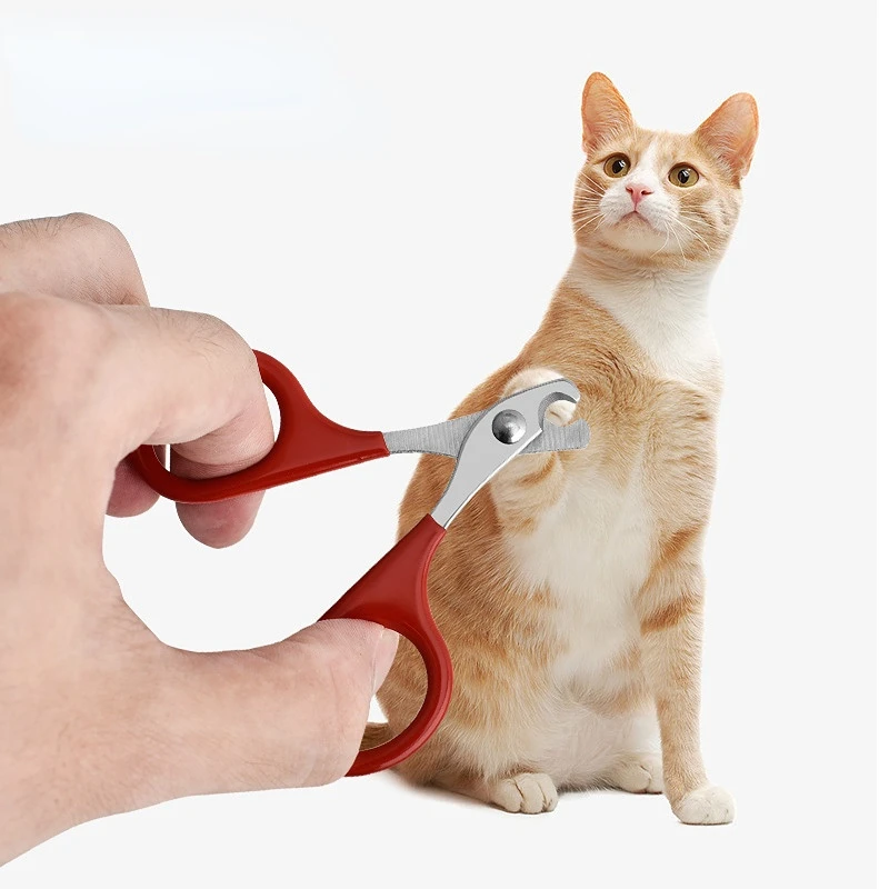 Tijeras profesionales para uñas de gatos, cortaúñas para perros y mascotas, recortador de garras para los dedos, suministros de cuidado para mascotas, productos para perros pequeños, aparatos para perros