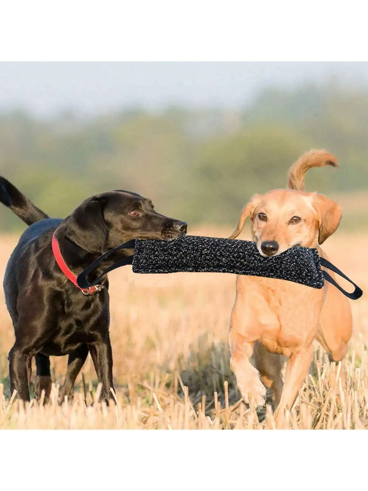 Palo de mordedura de perro para entrenamiento efectivo, mango cómodo para juego interactivo, rechinar dientes y entrenamiento para masticar, 1 unidad