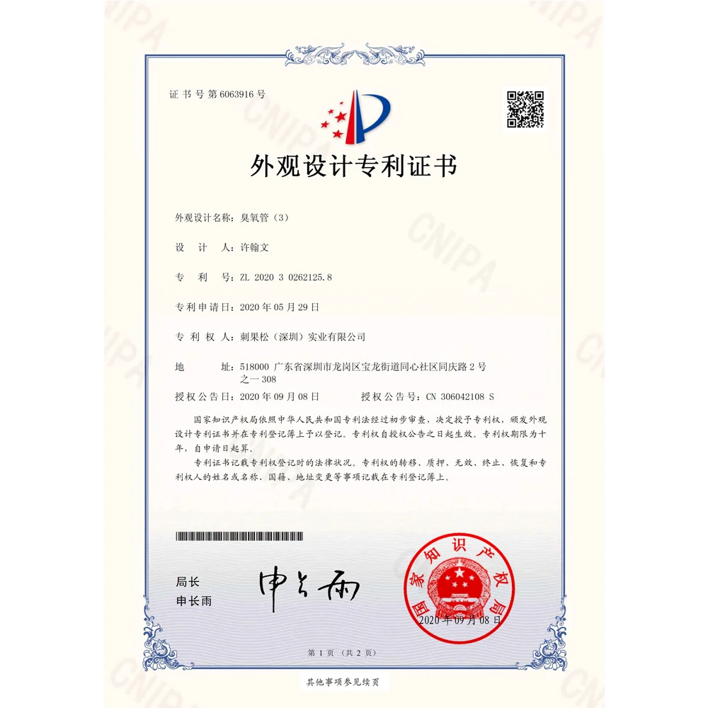 Producto Patentado con Certificación CE FCC ROHS, Kit Generador de Ozono 3G/H, Purificación y Desinfección de Agua Potable Doméstica