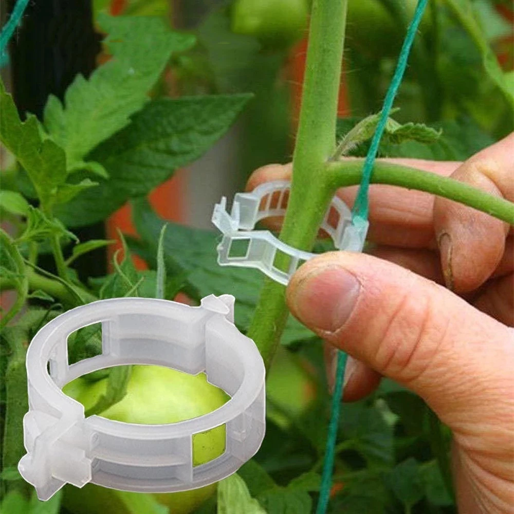 Clips de plástico para plantas, accesorio de protección reutilizable, herramienta de fijación de injerto, suministros de jardinería para vegetales y tomates, 50/100 unidades
