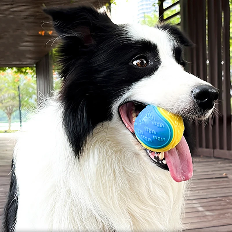 Pelota interactiva para perro, juguete suave de TPR para entrenamiento interactivo, Limpieza de dientes de Mascota, resistente a las mordeduras, Color aleatorio