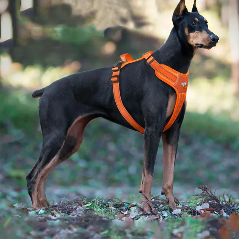 Arnés Reflectante para Perros Medianos y Grandes, Chaleco Impermeable para Golden Retriever, Accesorios y Suministros para Mascotas