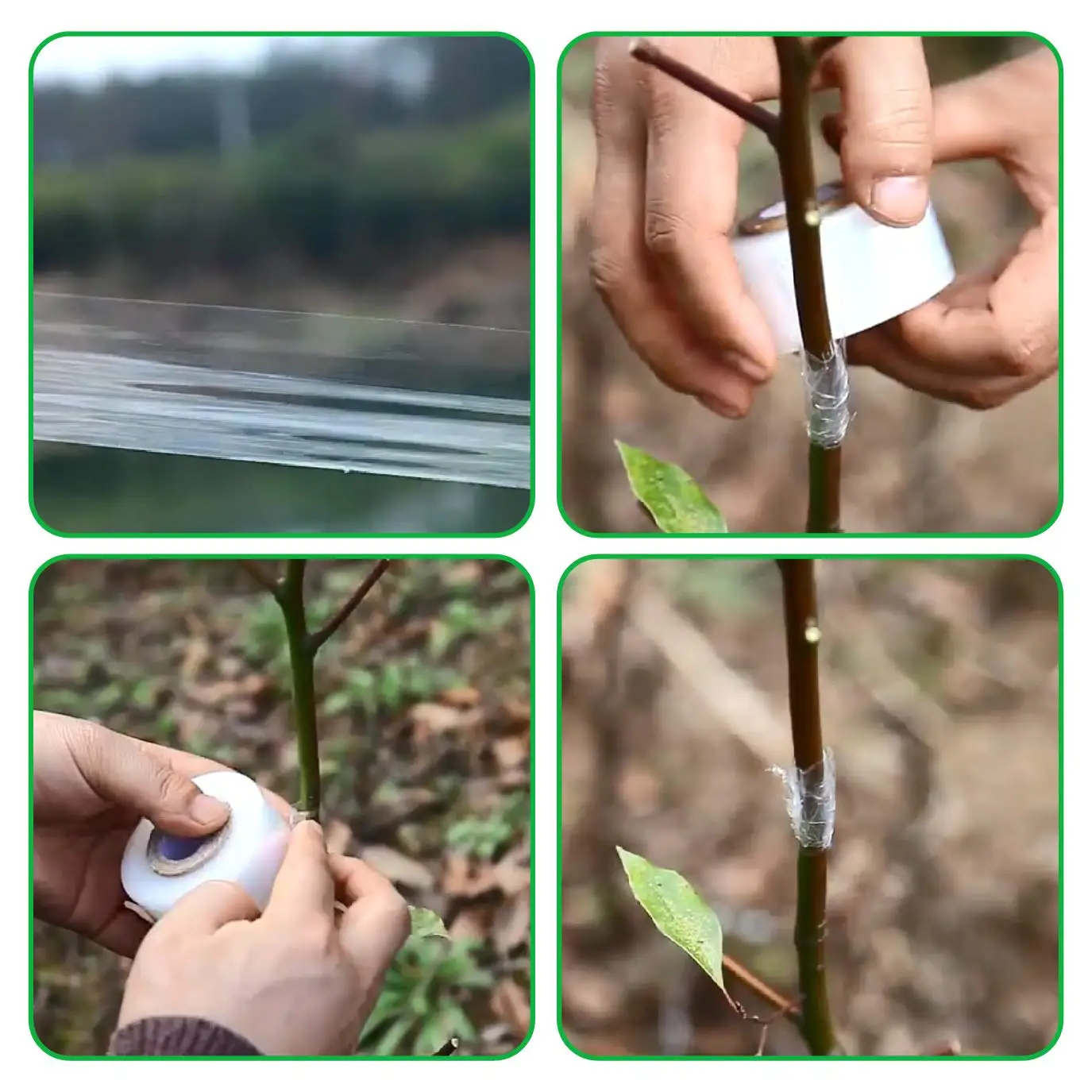 Cinta de poda, película de injerto especial, elástica, ecológica, para injerto de árboles frutales de jardín y película de envoltura