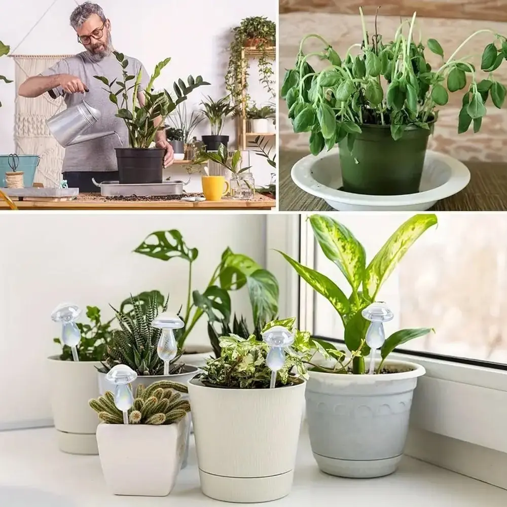 Globos de vidrio para riego de plantas, sistema de riego por goteo con forma de seta, arcoíris