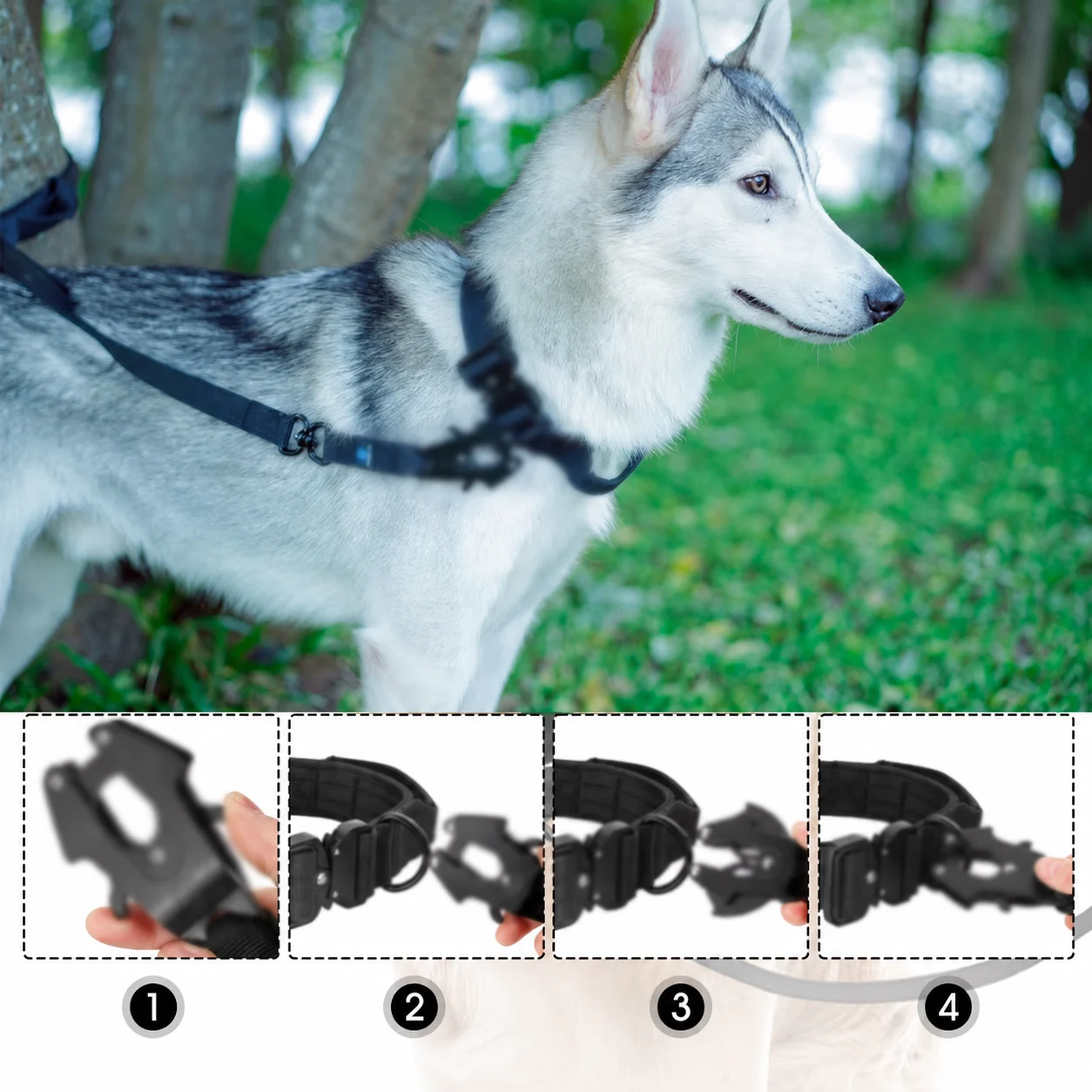 Collar para mascotas, correa para el cuello de perro, correa de nailon para tráfico, correa militar para perros grandes, cuerda corta para paseo, hebilla metálica, accesorios para cachorros