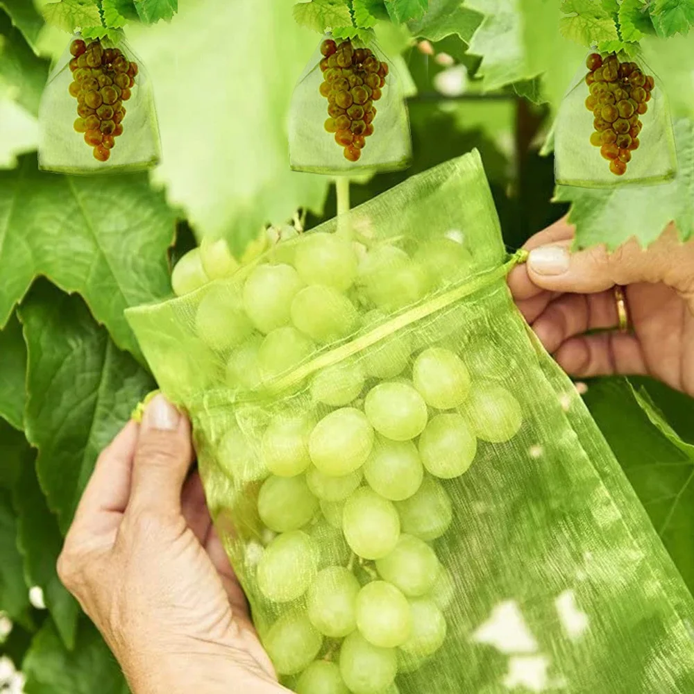50-300 Uds. Bolsas de malla protectora para frutas, bolsas de protección para uvas, bolsas de malla antipájaros para jardín, cubierta de malla para plantas y vegetales