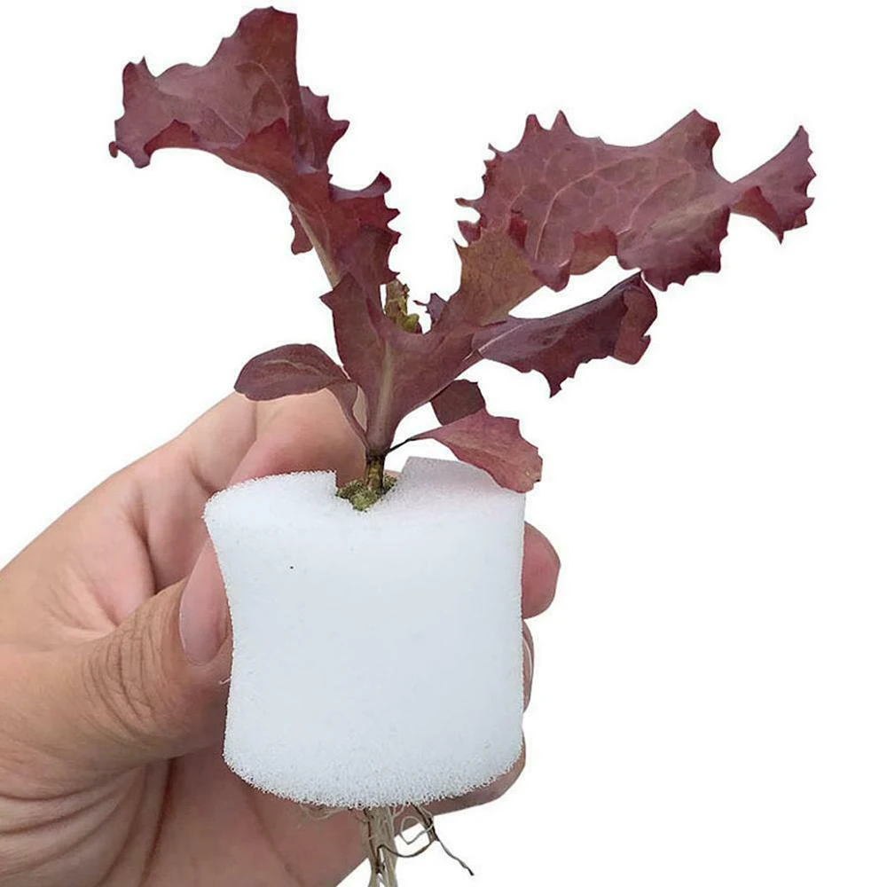 50 Uds. Taza de red para plantas y 50 Uds. De esponja cilíndrica para orquídeas hidropónicas, vasos de red de plástico resistentes a los rayos UV para iniciación de plantas