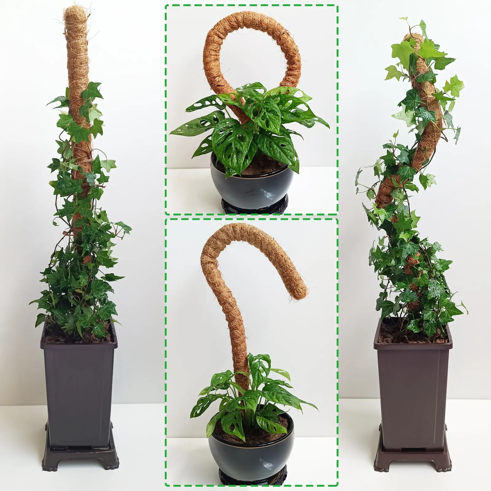 Palo de cacahuete para jardinería transfronteriza, maceta verde, planta fija, bastón de escalada, soporte de flores, bastón de escalada de cacahuete, varilla de musgo, 1 ud.