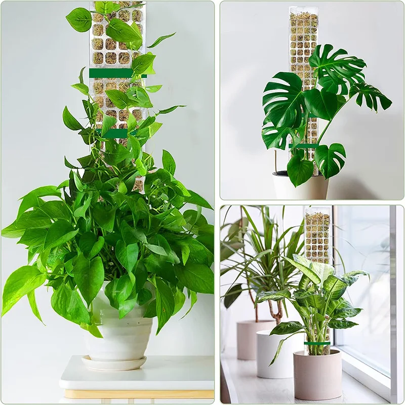 Soporte de Plástico para Plantas Trepadoras de Interior, Tutor para Plantas, Varilla de Musgo para el Crecimiento de Plantas, Accesorios de Soporte para Jardín