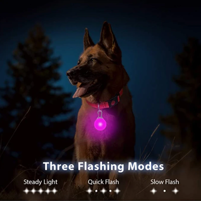 Collar Luminoso USB Recargable para Perros con Colgante Desmontable, Luz LED de Lujo Brillante para Perros Pequeños y Gatos, Collar de Seguridad Nocturna, Venta al Por Mayor